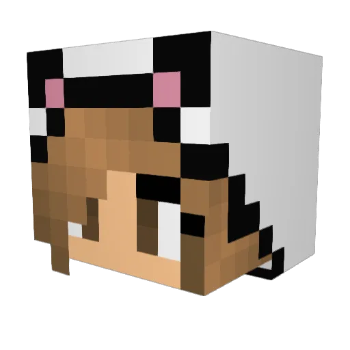 leoboy200 Minecraft avatar head, 3D render