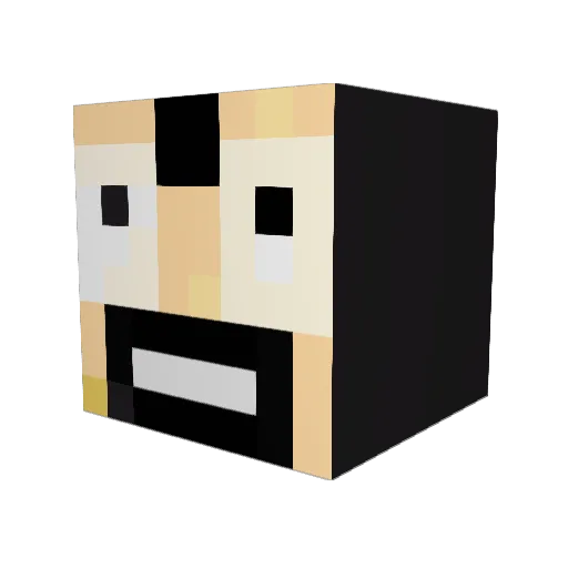 leodlg2907 Minecraft avatar head, 3D render