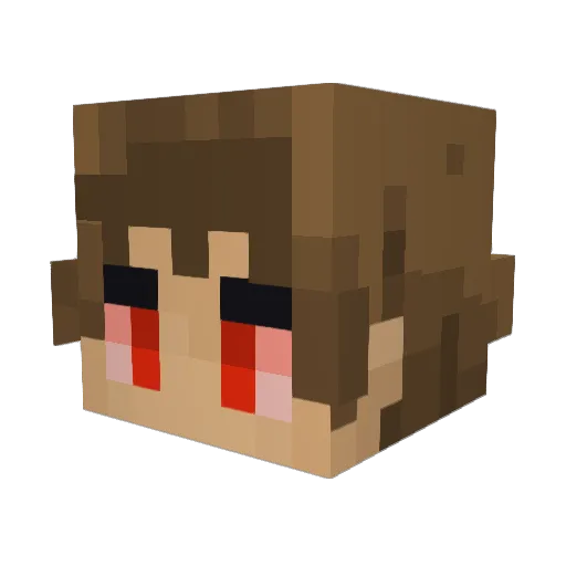 leogp1025 Minecraft avatar head, 3D render