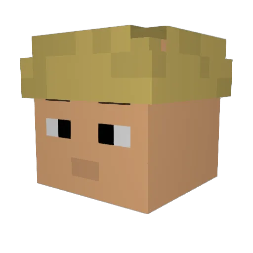 leoisawesome Minecraft avatar head, 3D render