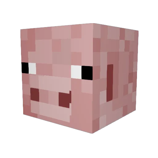 leoleo0214 Minecraft avatar head, 3D render