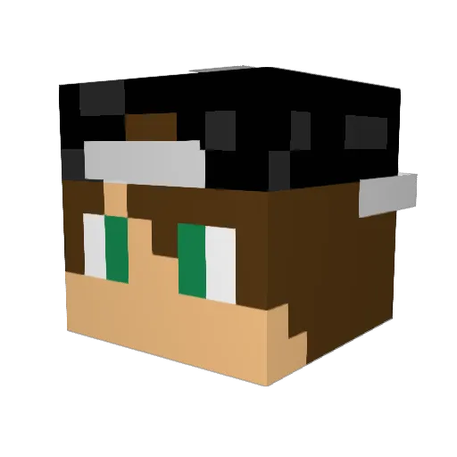 leolol1311 Minecraft avatar head, 3D render