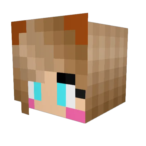 leon1002 Minecraft avatar head, 3D render