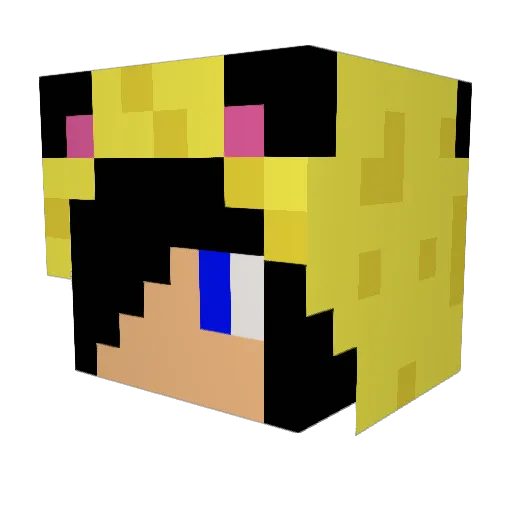 leon2000200 Minecraft avatar head, 3D render