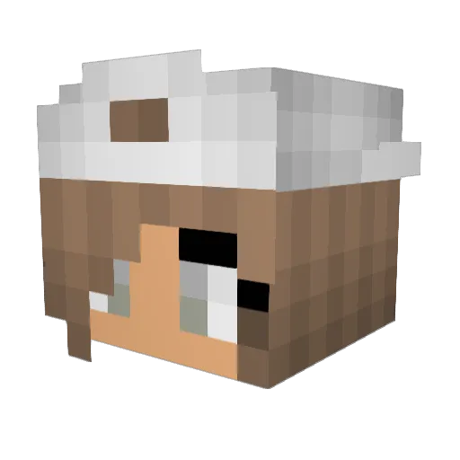 leonard333333 Minecraft avatar head, 3D render