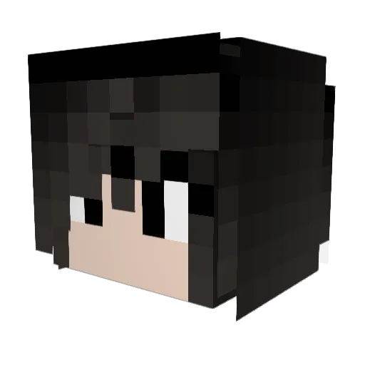 leonardoarm123 Minecraft avatar head, 3D render