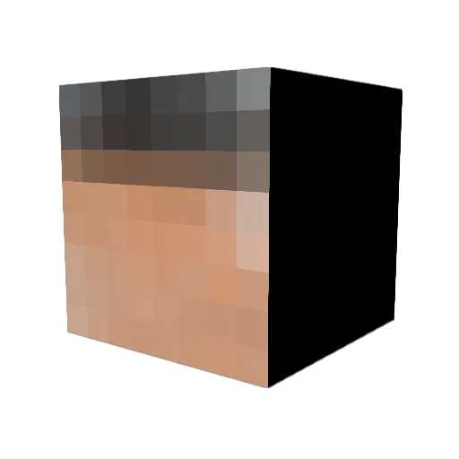 leonardsi Minecraft avatar head, 3D render