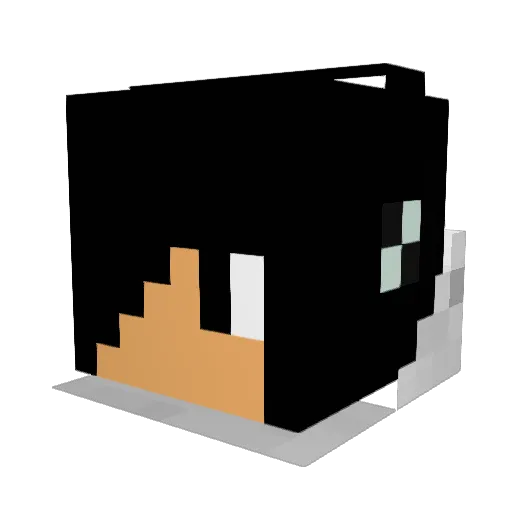 leonardy867 Minecraft avatar head, 3D render