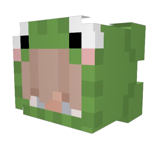 leoncooler Minecraft avatar head, 3D render