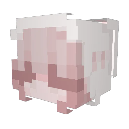 leoni_e Minecraft avatar head, 3D render