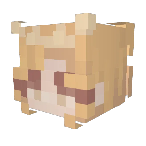 leoniebee Minecraft avatar head, 3D render
