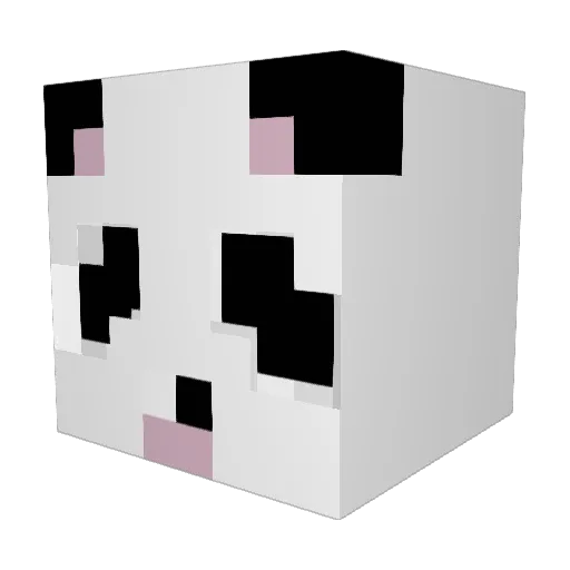 leoninja24 Minecraft avatar head, 3D render