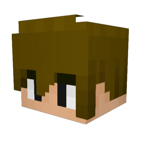 leonnzbro Minecraft avatar head, 3D render