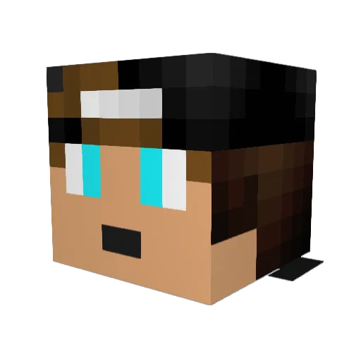 leonpetry Minecraft avatar head, 3D render