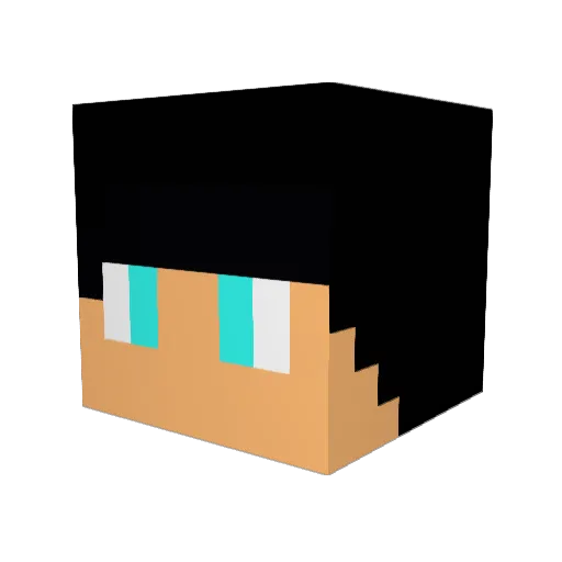 leoo999 Minecraft avatar head, 3D render