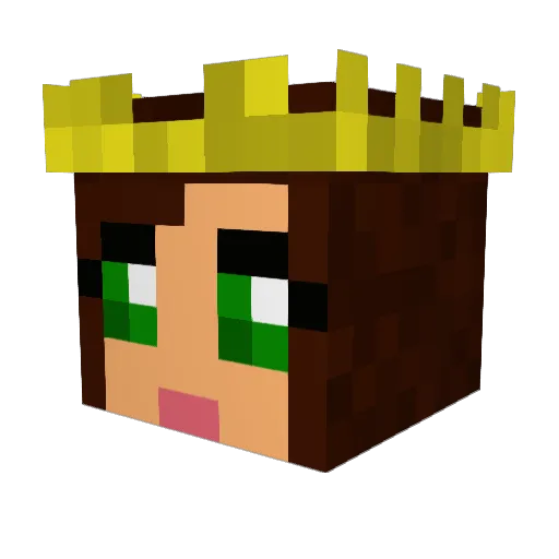 leopara007 Minecraft avatar head, 3D render