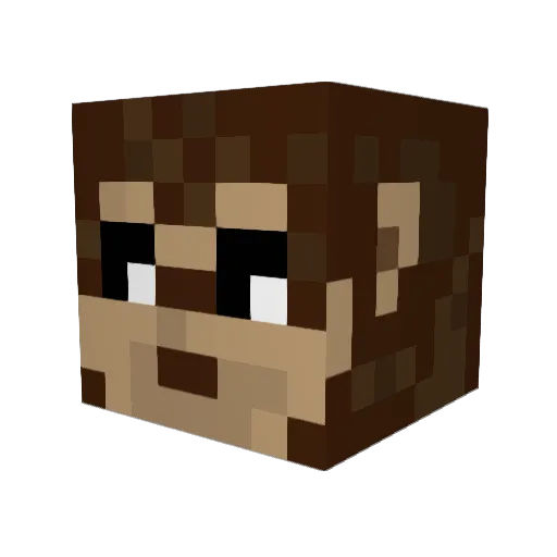 leopeom Minecraft avatar head, 3D render