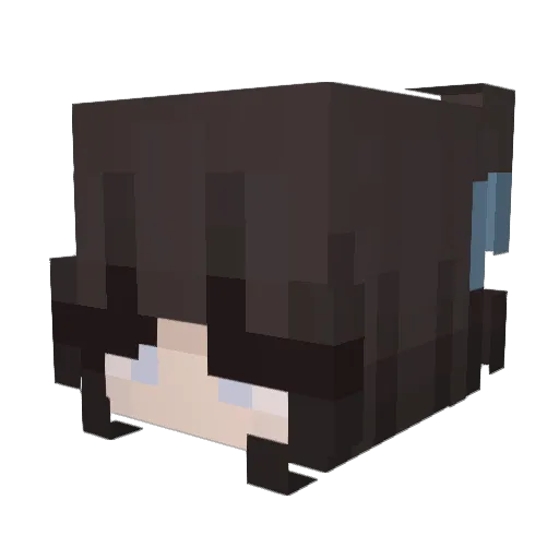 leopoldhike Minecraft avatar head, 3D render