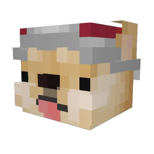 leopvp11 Minecraft avatar head, 3D render