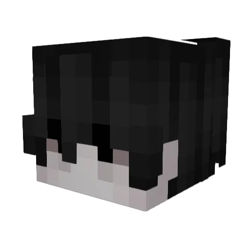 leos201705 Minecraft avatar head, 3D render