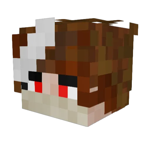 leos_123 Minecraft avatar head, 3D render