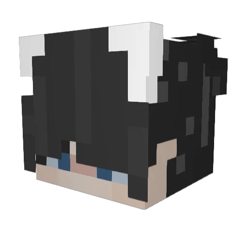 leosrun Minecraft avatar head, 3D render