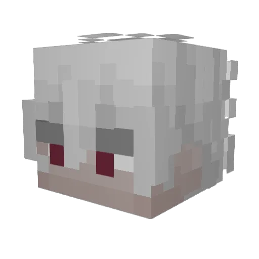 leoxys_ Minecraft avatar head, 3D render