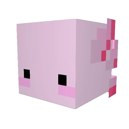 leozim1201 Minecraft avatar head, 3D render