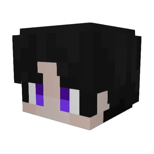 leozingameplayy Minecraft avatar head, 3D render