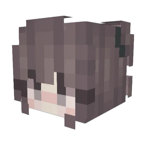 lepeleposo Minecraft avatar head, 3D render
