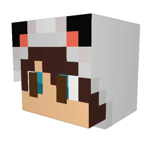 lepolonais66 Minecraft avatar head, 3D render