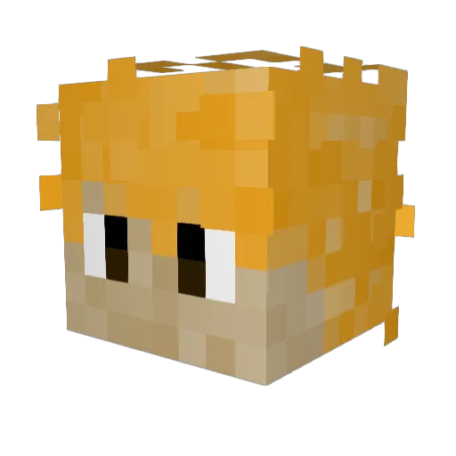 leporth Minecraft avatar head, 3D render