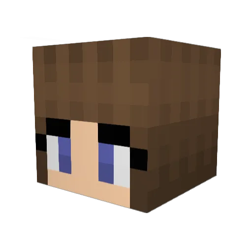 lepryor01 Minecraft avatar head, 3D render