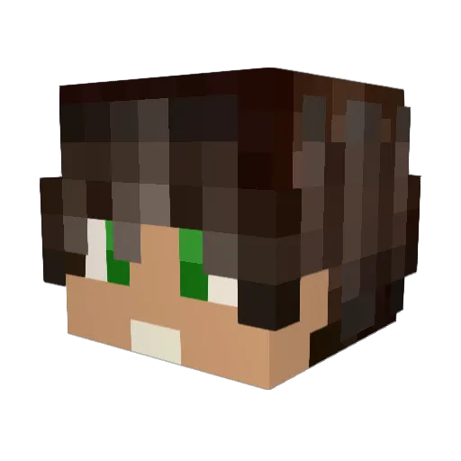 lepsi33 Minecraft avatar head, 3D render