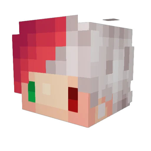 lequim Minecraft avatar head, 3D render