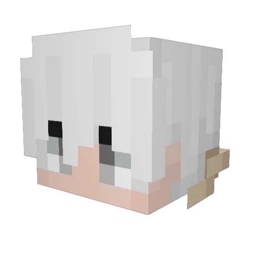 ler0_ Minecraft avatar head, 3D render