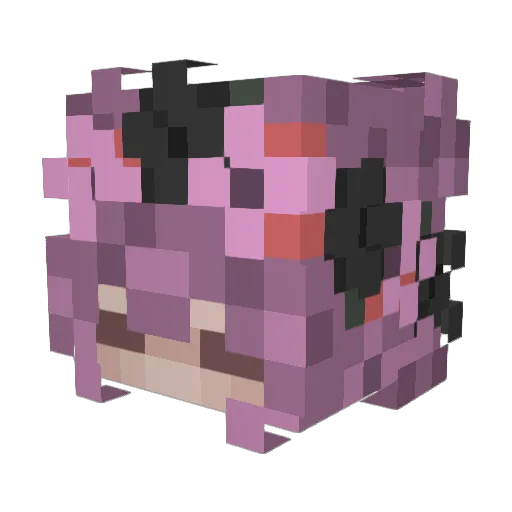 leraer540 Minecraft avatar head, 3D render