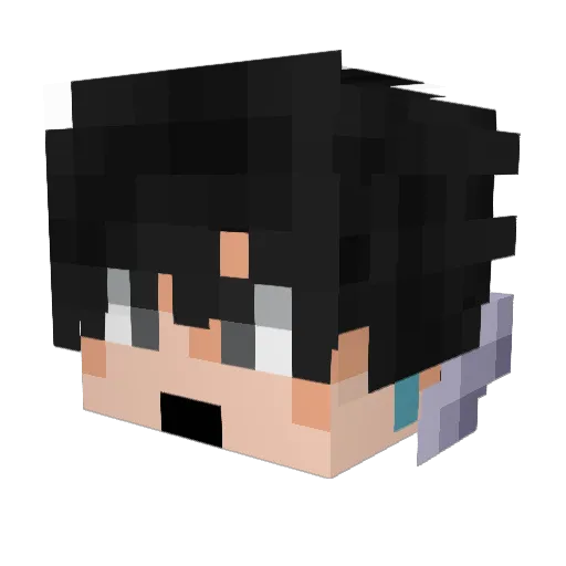 lerdaoo Minecraft avatar head, 3D render