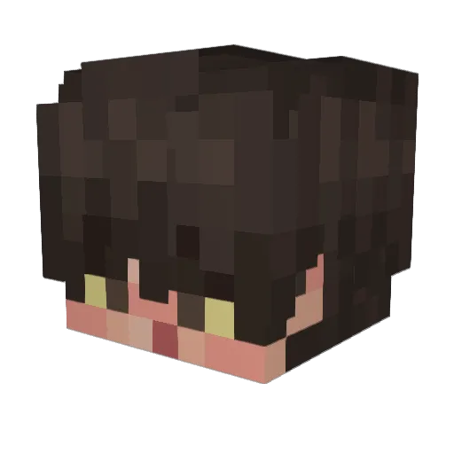 lererer Minecraft avatar head, 3D render