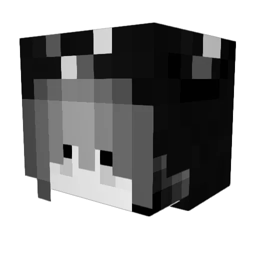 lernreden Minecraft avatar head, 3D render