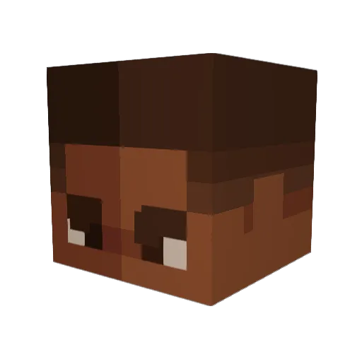 leroyzwrld Minecraft avatar head, 3D render