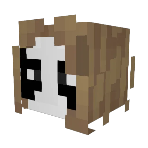 lerozzz Minecraft avatar head, 3D render
