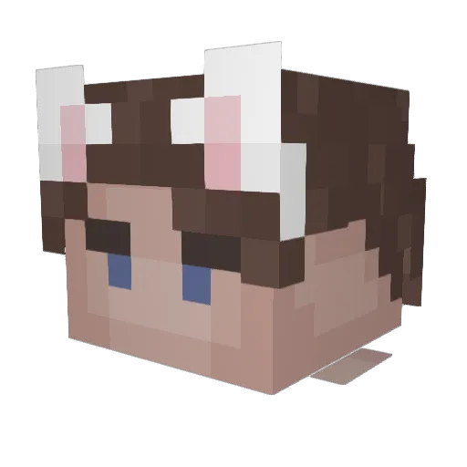 les153 Minecraft avatar head, 3D render