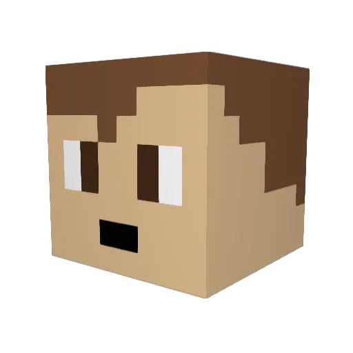 lesaint_SUSHI Minecraft avatar head, 3D render