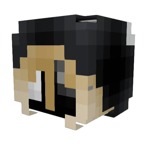 lesbiancoupe Minecraft avatar head, 3D render