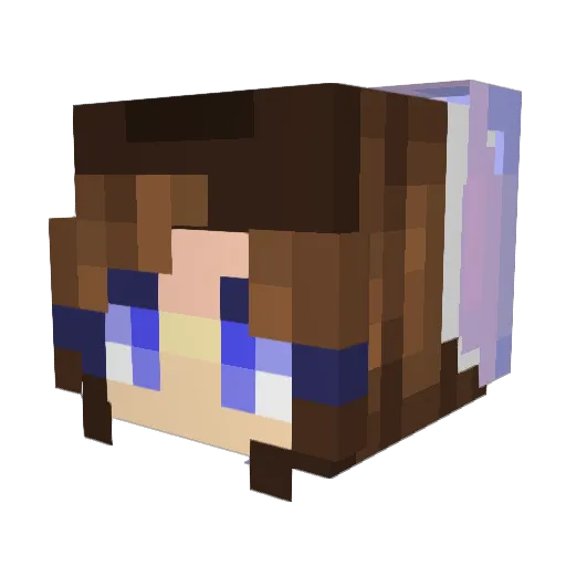lesburrito Minecraft avatar head, 3D render