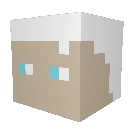 leshet3 Minecraft avatar head, 3D render