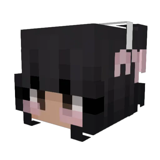 leslified Minecraft avatar head, 3D render