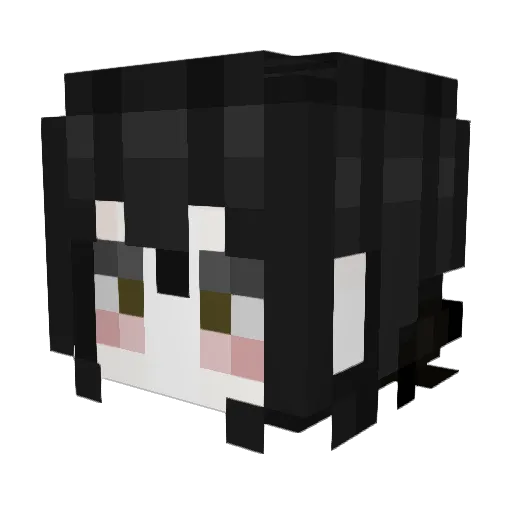 lessoup Minecraft avatar head, 3D render