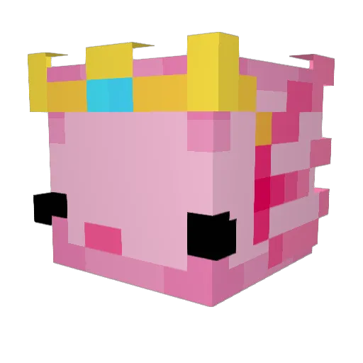 leswim Minecraft avatar head, 3D render